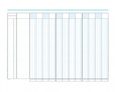 Βιβλίο ταμείου 12 στηλό 30x43 εκ. 100 φύλλων 