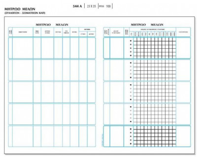 Βιβλίο  Μητρώο Mελών, 100φύλλα,  25x35εκ.