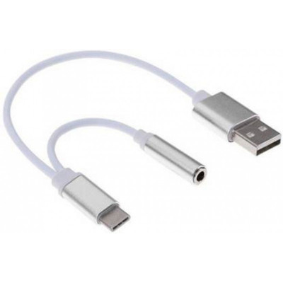 Μετατροπέας (Adaptor) απο usb  type-C σε 3,5mm audio και Usb 